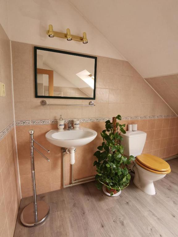 Апартаменти Apartman Skladna Кошице Екстер'єр фото